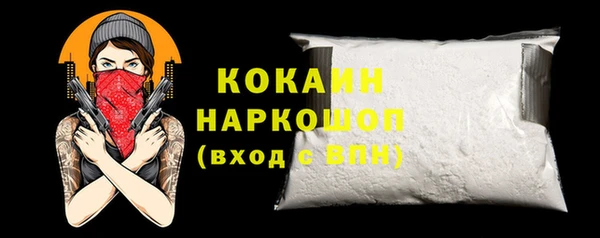крисы Лагань