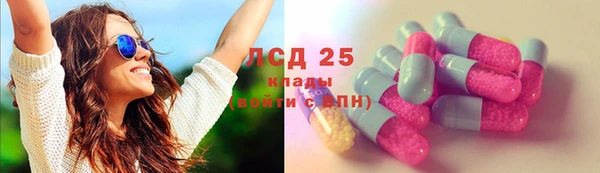 крисы Лагань