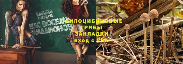 прущий лед Ладушкин