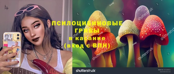 прущий лед Ладушкин