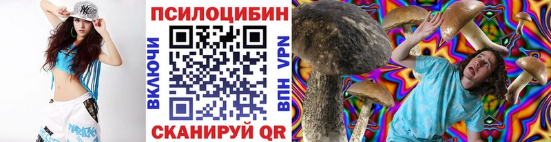 Галлюциногенные грибы Cubensis  где купить наркоту  Железногорск 