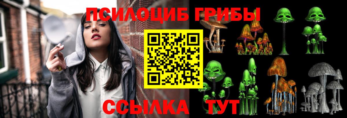 Железногорск  Галлюциногенные грибы Cubensis  купить  цена  Вход с VPN 