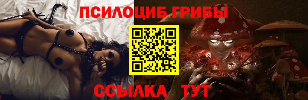 Псилоцибиновые грибы Cubensis  Псилоцибиновые грибы мухоморы  где купить наркоту  Железногорск 